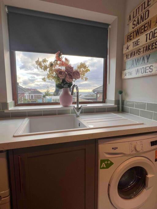 Seaview 1 Bed Open Condo - Free Parking Brighton Eksteriør bilde